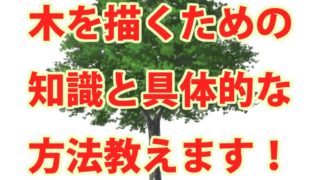 木の描き方を背景のプロが徹底解説 確実に上達する描き方とは Tasogare Ya Illustrarion Institute