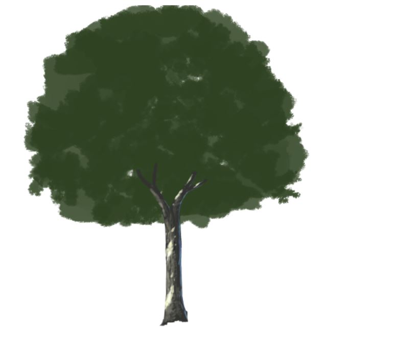 木の描き方を背景のプロが徹底解説 確実に上達する描き方とは Tasogare Ya Illustrarion Institute
