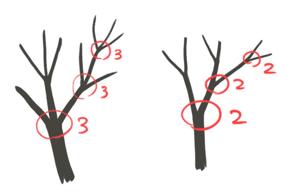 木の描き方を背景のプロが徹底解説 確実に上達する描き方とは Tasogare Ya Illustrarion Institute